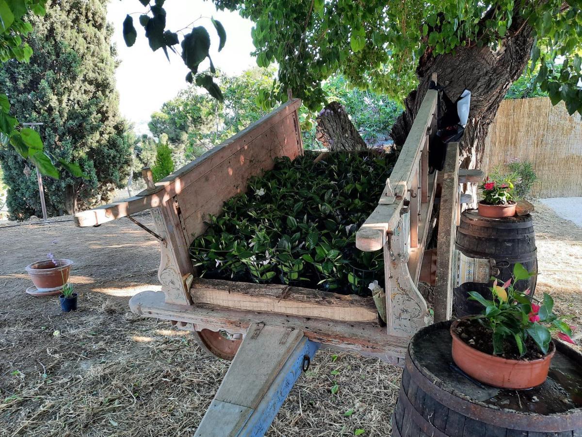 Tenuta Coppa Zuccari Citta Sant'Angelo Exterior foto