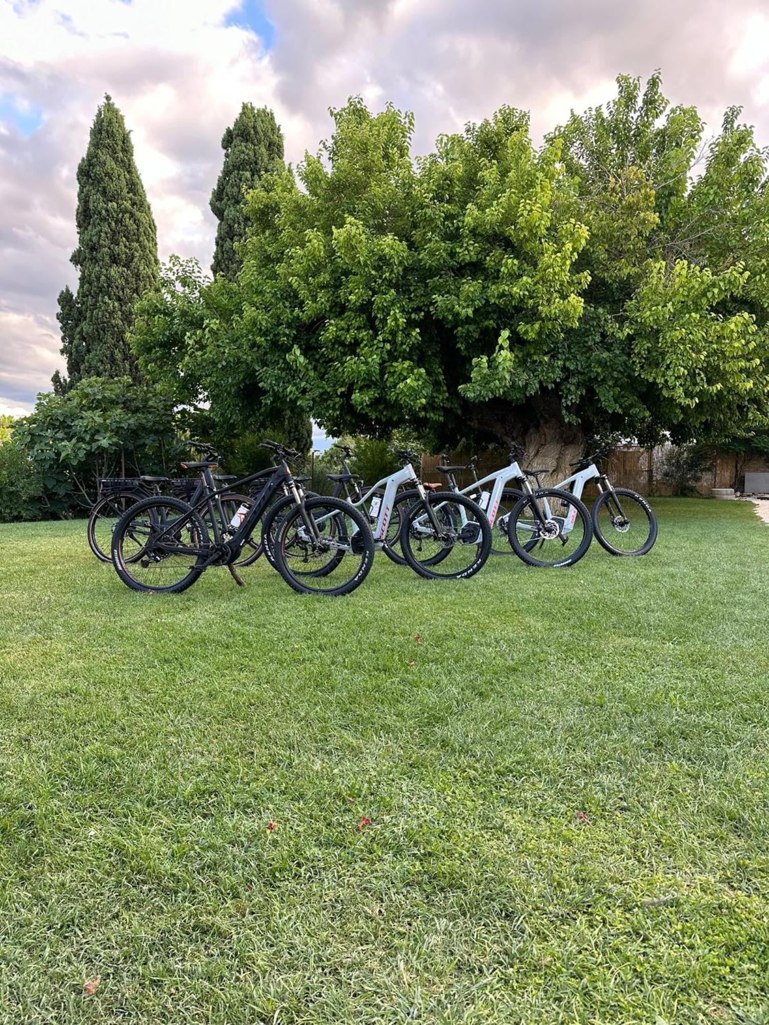 Tenuta Coppa Zuccari Citta Sant'Angelo Exterior foto